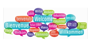 Language Language